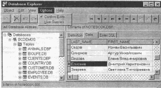 Компоненты вкладки Data Access