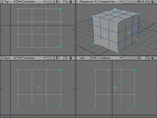 D   LightWave 8
