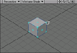 D   LightWave 8
