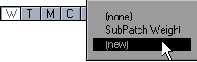 D   LightWave 8
<br>
