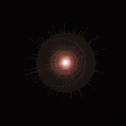 D   LightWave 8
<br>
