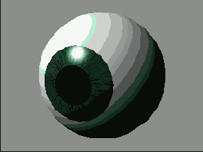D   LightWave 8
<br>
