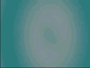 D   LightWave 8
<br>
