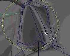 
   Maya 4.5 ( 2)
