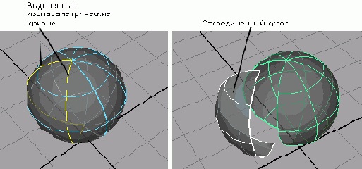    Maya 6
