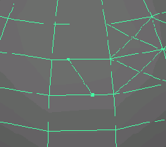    Maya 6
