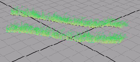    Maya 6
