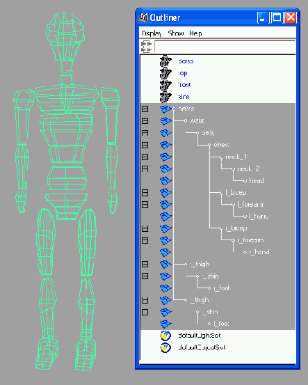    Maya 6
