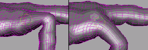    Maya 6
