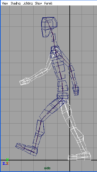    Maya 6

