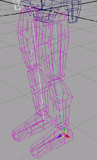    Maya 6

