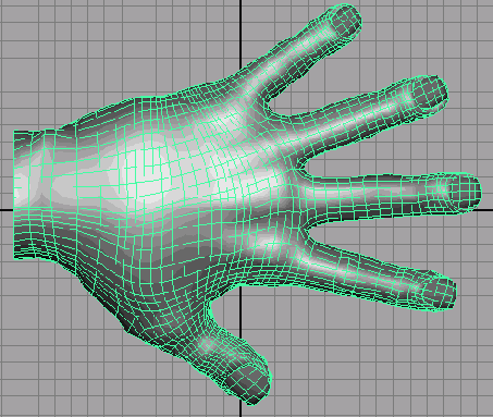    Maya 6

