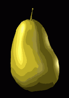    Maya 6
