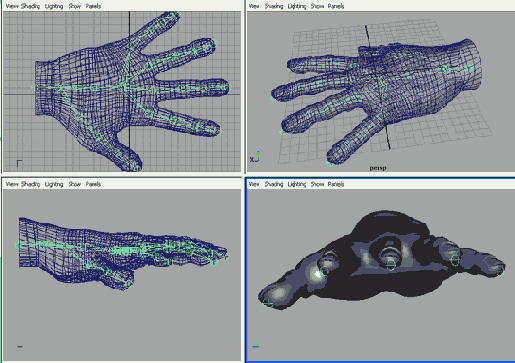    Maya 6
