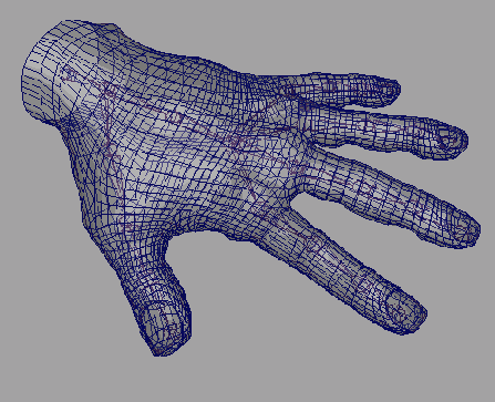   Maya 6

