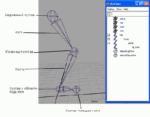    Maya 6
