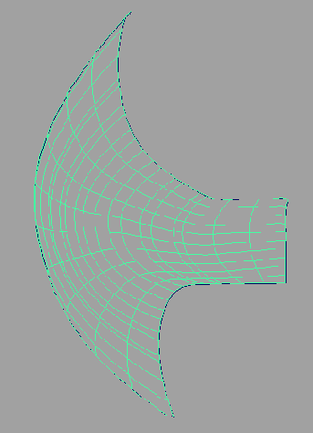    Maya 6
