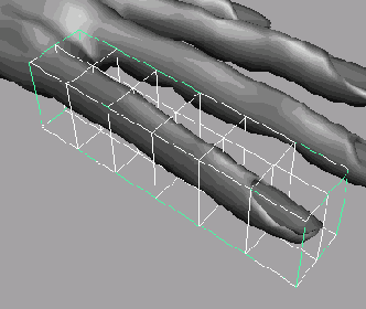    Maya 6
