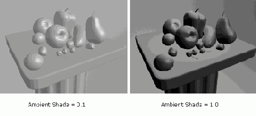    Maya 6
