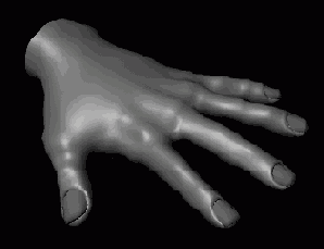    Maya 6
