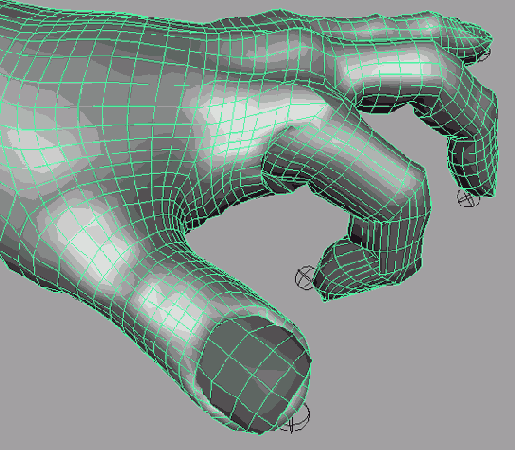    Maya 6
