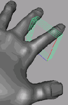   Maya 6
