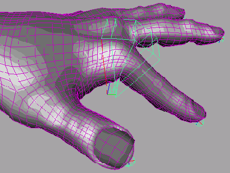    Maya 6
