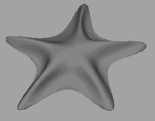    Maya 6
