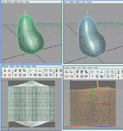    Maya 6
