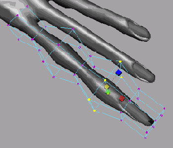    Maya 6
