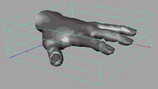    Maya 6

