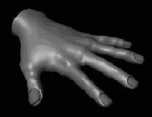    Maya 6
