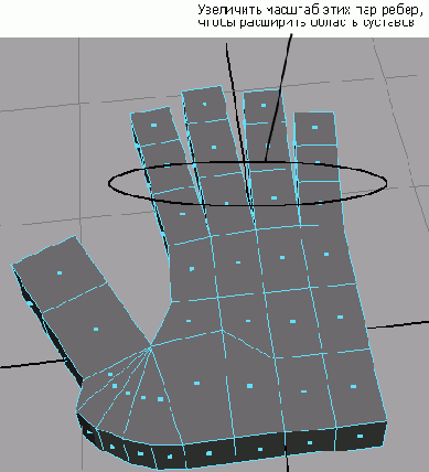    Maya 6
