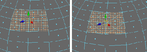    Maya 6
