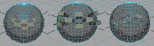    Maya 6
