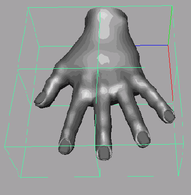    Maya 6
