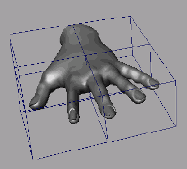    Maya 6

