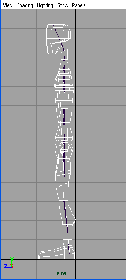    Maya 6
