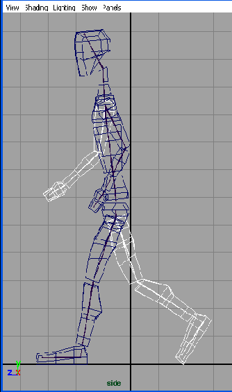    Maya 6
