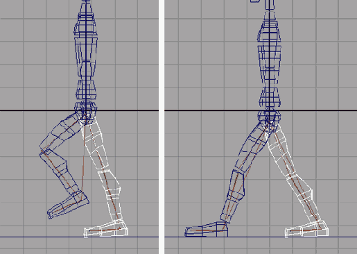    Maya 6

