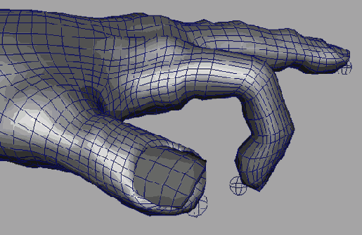    Maya 6

