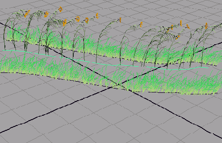    Maya 6
