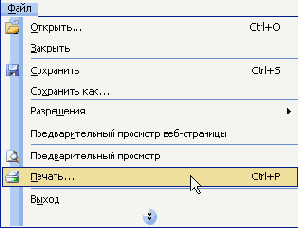 Электронные таблицы Excel