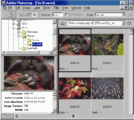   Adobe Photoshop 7