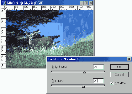   Adobe Photoshop 7