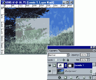   Adobe Photoshop 7