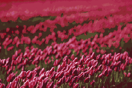   Adobe Photoshop 7