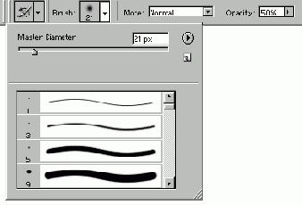   Adobe Photoshop 7