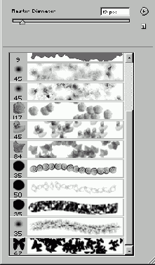   Adobe Photoshop 7