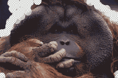   Adobe Photoshop 7